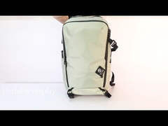 Qual è il miglior compagno di viaggio?